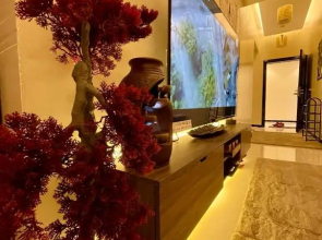 فلامينجو Flamingo