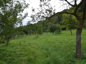 Cozy Apartment in Immerath with Fishing Nearby