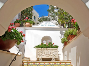 Gatto Bianco Hotel & SPA