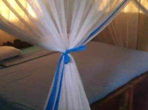 Mangrove beach bungalows