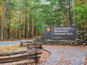 Black Bear Lodge by Vtrips