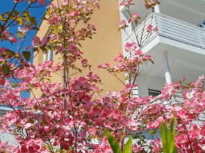 Jardis Boutiquehotel - Adult Only