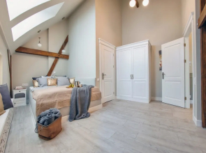 Lion Apartments - Scandi Love