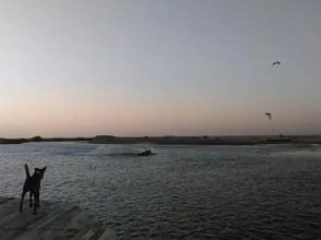 Cocodance Beach Resort