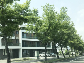Strolling in the Champs 包棟