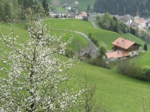 Gedrarzerhof