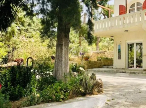 ΝΙRΑSΤΕRΟ - The house in the trees