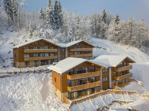 Penthouse in Wagrain Near Grafenberg Lift