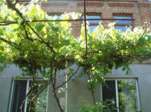 Guesthouse Valeria