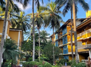 Lushy Days Palm Resort