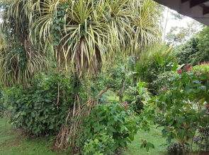 A Little Paradise