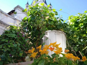 LP's house