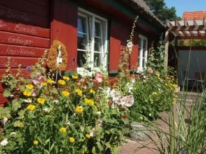 Reetdach _ Promenadenblick _ 500m