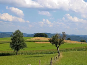 Ferienhof Knoll