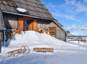 Koca Ojstrica - Velika planina