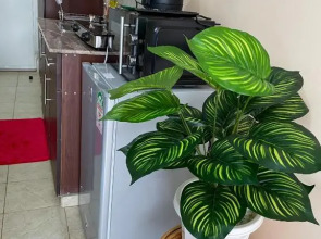 Elegant and cozy studio apartment in Nairobi Ruaka