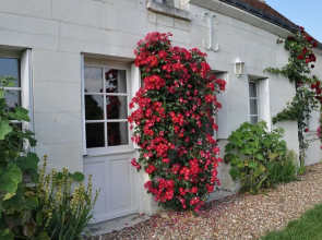 The Cottage
