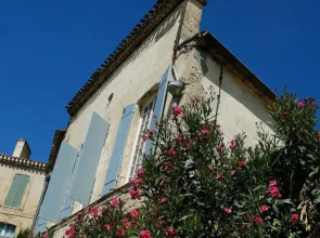 Les Hortensias Du Rempart