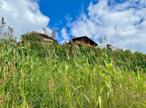 Maso Fallmerayer - Fallmerayerhof