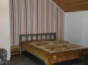 Cozy apartment in Mgzavrebi Hotel