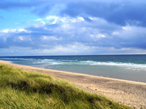 Sylt-Westerland Wohnung 2 im EG. - [#73385]