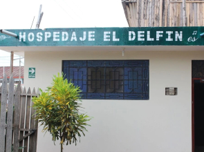 El Delfin