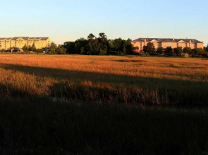 Residence Inn by Marriott Charleston Downtown/Riverview