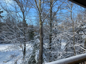 Woodland Lodging