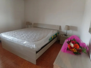 Holiday House