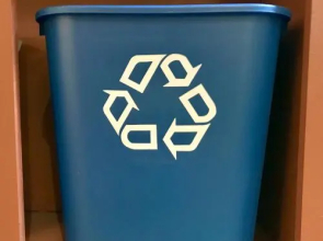 The Tropical Guesthouse