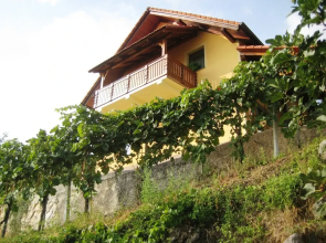 Vineyard cottage Ucman