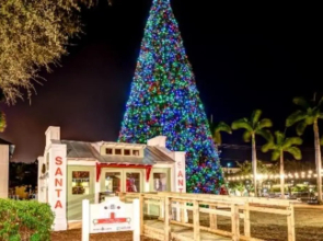 Casa Historica, a cozy 1940 cottage in Delray Beach, FL