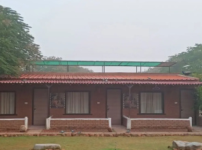 Alampat Nest