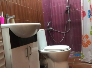 Yerevan Qanaqer House