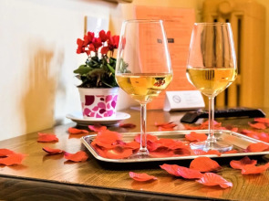 Отель JR Hotels Hermes Firenze