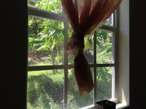 The Jungle Room
