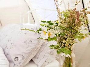 Star Gazing Bell Tent Farm Stay