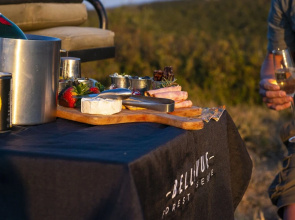 Stargazer Camp - Bellevue Forest Reserve