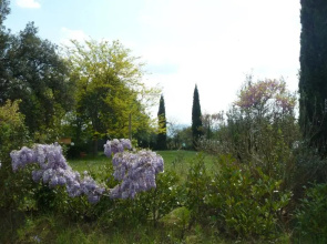 Al Vecchio Leccio