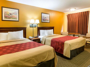 Super 8 Fredericksburg South