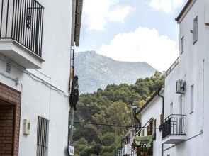 Mafloras Suites El Bosque