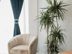 East Side Living & Terrace