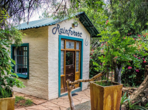 Rainforest Boutique Camp