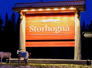 Beautiful Home in Vemdalen With 4 Bedrooms, Sauna and Wifi