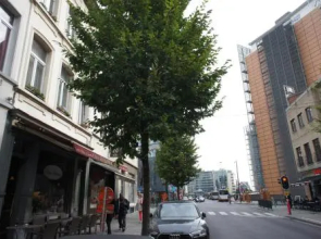 Apartments Berlaymont OHY