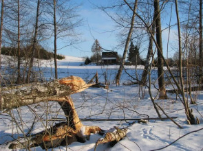 Dom w Czostkowie na Suwalszczyźnie