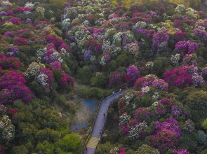 Qinxi Shuixi Holiday Hotel