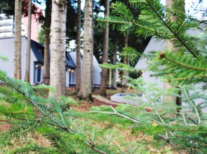 Boro Green Holiday Village