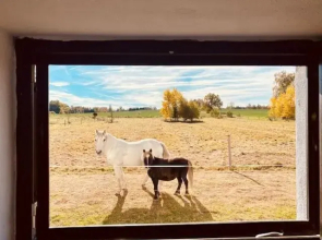 Peškův mlýn