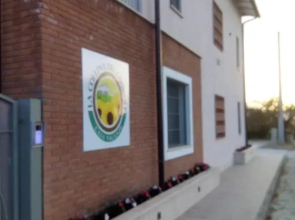La Collina del Girasole